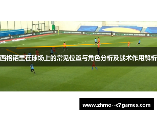 西格诺里在球场上的常见位置与角色分析及战术作用解析